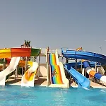 Serenis מנבגט